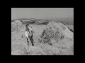 Making Hay While The Sun Shines, Ireland 1969