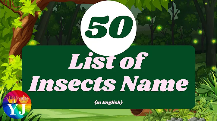 50 List of Insects Name in English | Learn insect names | Insects list with images | 4K Videos