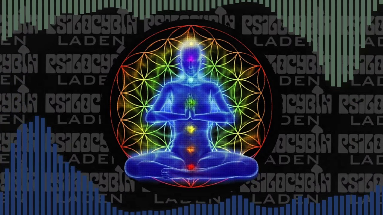 Psilocybin Laden - From Within (Original Mix)