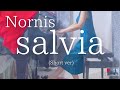 【Nornis】「salvia」(Short ver) を弾いてみました。