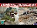Los Dinosaurios de México, la otra riqueza histórica que pocos conocen