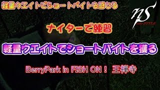 ナイターフィッシング　軽量ウエイトでショートバイト取る練習。　　BerryPark in FISH ON！ 王禅寺