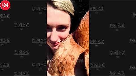 TOTAL IDIOTS AT WORK | Instant Regret Fails Compilation 2025 #453| Best Of The Week