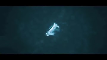 FREE INSANE 3D INTRO | C4D,AE #01