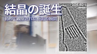 結晶の誕生 初めて観察された析出の瞬間｜Science Portal動画ニュース（2021年9月27日配信）