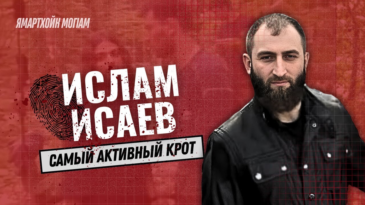 Самый активный крот - Ислам (Тимур) Исаев  | Ямартхойн MогIам