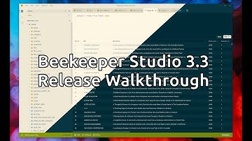 Beekeeper Studio 3.3 Walkthrough