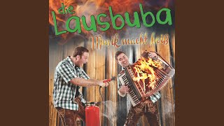 Video thumbnail of "Die Lausbuba - Mein Schwabenland"