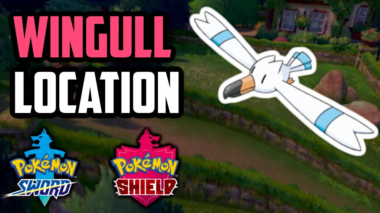 How to Catch Wingull - Pokemon Sword & Shield
