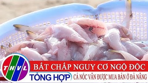 Bất chấp nguy cơ ngộ độc, cá nóc vẫn được mua bán ở Đà Nẵng