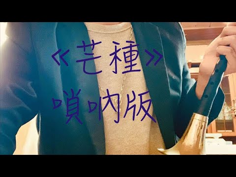 用嗩吶吹網紅歌曲«芒種»聽起來是什麼感覺？