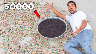 50000 Snake Bombs At Once - पर मदन भर गय सप स Diwali Testing