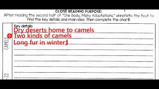 Day 2 - (1/11): Benchmark Unit 3 - Animal Adaptations