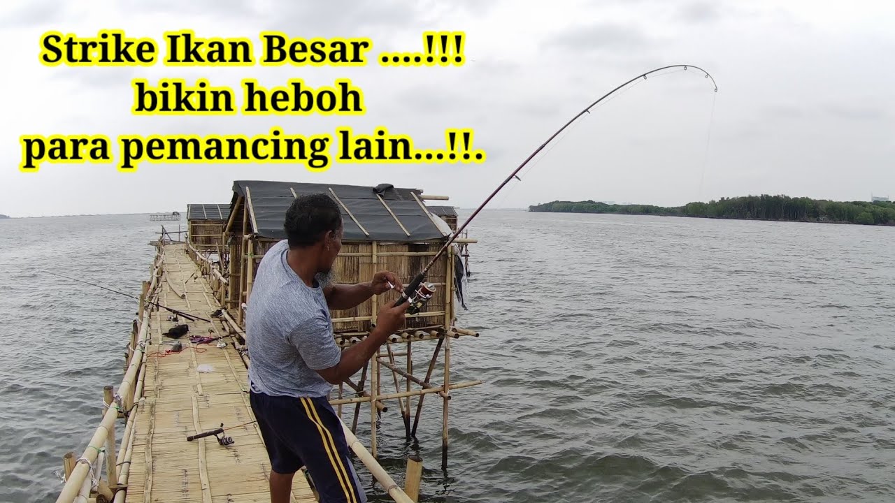 HEBOH...!!Mancing Bagan Pinggir Pertamina Terbaru.!!Ternyata Memang Banyak Ikan Babonnya Disini.