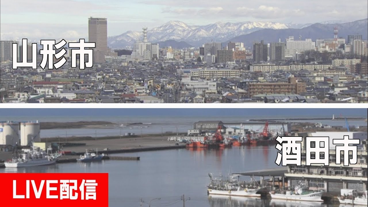 ライブ カメラ 酒田 市