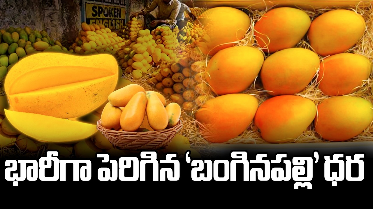 భారీగా పెరిగిన ‘బంగినపల్లి’ ధర | Price of 'Banginapalli' Mangoes | @BRK Agriculture