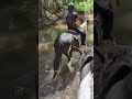 Horseback riding Dead Horse Ranch