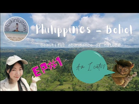 วีดีโอ: 8 สถานที่ท่องเที่ยวในโบโฮล ฟิลิปปินส์