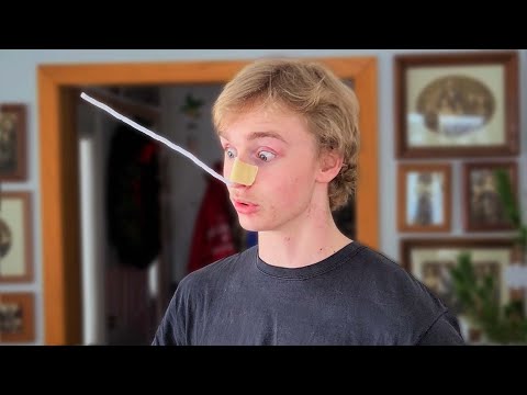 the mosquito that somehow shows up in december