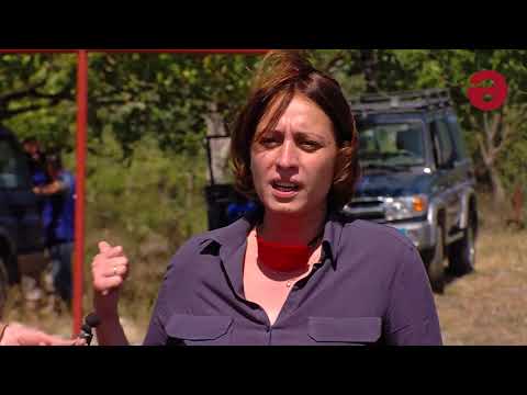 „აქ დღეს უნდა იდგეს საგარეო საქმეთა მინისტრი დიპლომატიურ კორპუსთან ერთად“