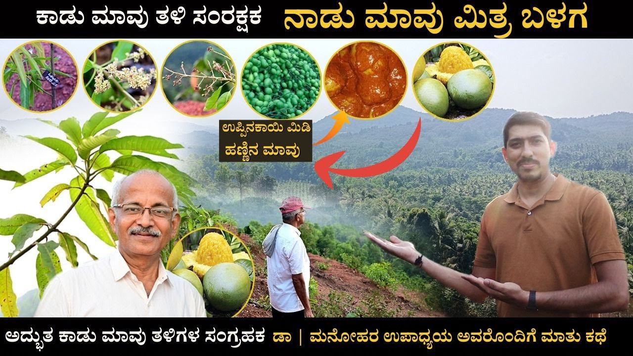 ವೃತ್ತಿಯಲ್ಲಿ ಪಶು ವೈದ್ಯರು ನಾಡು ಮಾವು ಉಳಿಸುವ ಆಸಕ್ತಿ |A veterinary doctor built a group to save Nadu mavu
