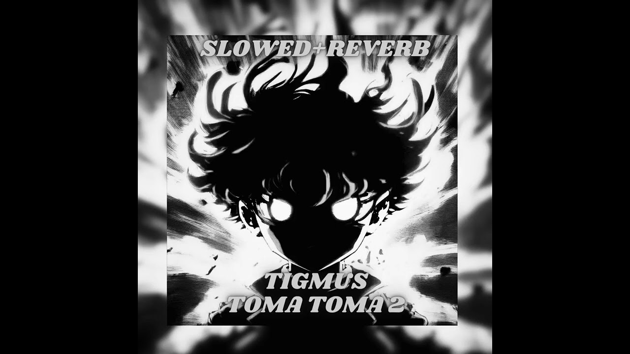 Tigmus   Toma Toma 2 Brazilian Phonk Slowed  Reverb