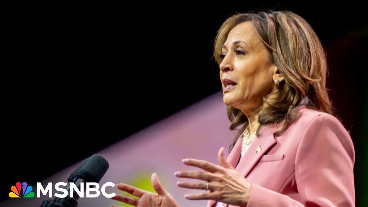 ‘It is racist; it is reductive’: What’s driving Republicans’ ‘DEI’ dogwhistle