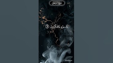 #سورة النحل#ينبت لكم به الزرع والزيتون والنخيل  الاعناب للشيخ سيد سعيد #