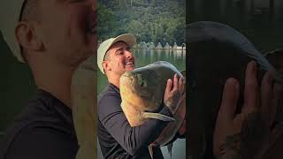 wildlife #troutfish #oceanlife