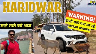 Delhi to Haridwar By Road EP2 | कांड हो गया आज तो 🔥| Cattle Issue on Highways #travelvlog #haridwar