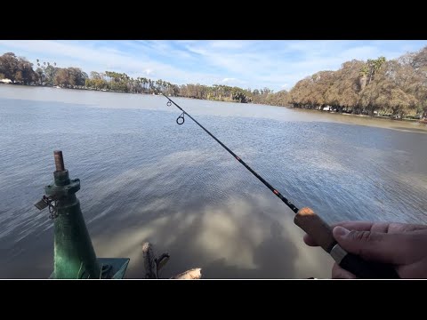 वीडियो: क्या आप फेयरमाउंट पार्क में मछली पकड़ सकते हैं?