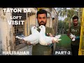 Taton da pigeon loft visit   part2   9477367779