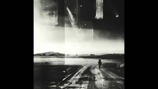 Abstract Binary - Lim