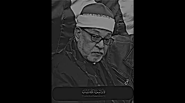 الشيخ سيد سعيد سورة يوسف 