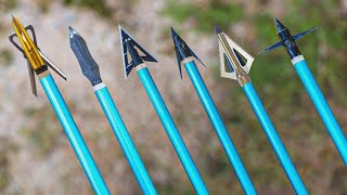 Arrowhead Showdown: Which Tip Does the Most Damage