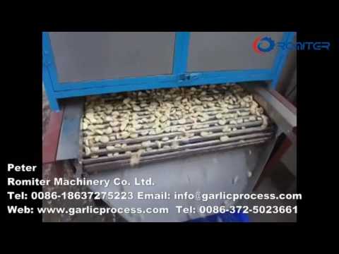 New Chian type Garlic Peeling Machine high capcity