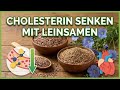 Leinsamen Verdauung Und Cholesterin - Ballaststoffe Für Herz Und Darm