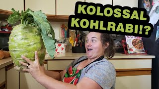 Food Bank Haul 101222 With Meal | 20 Pound Kohlrabi | Apple Grilled Cheese