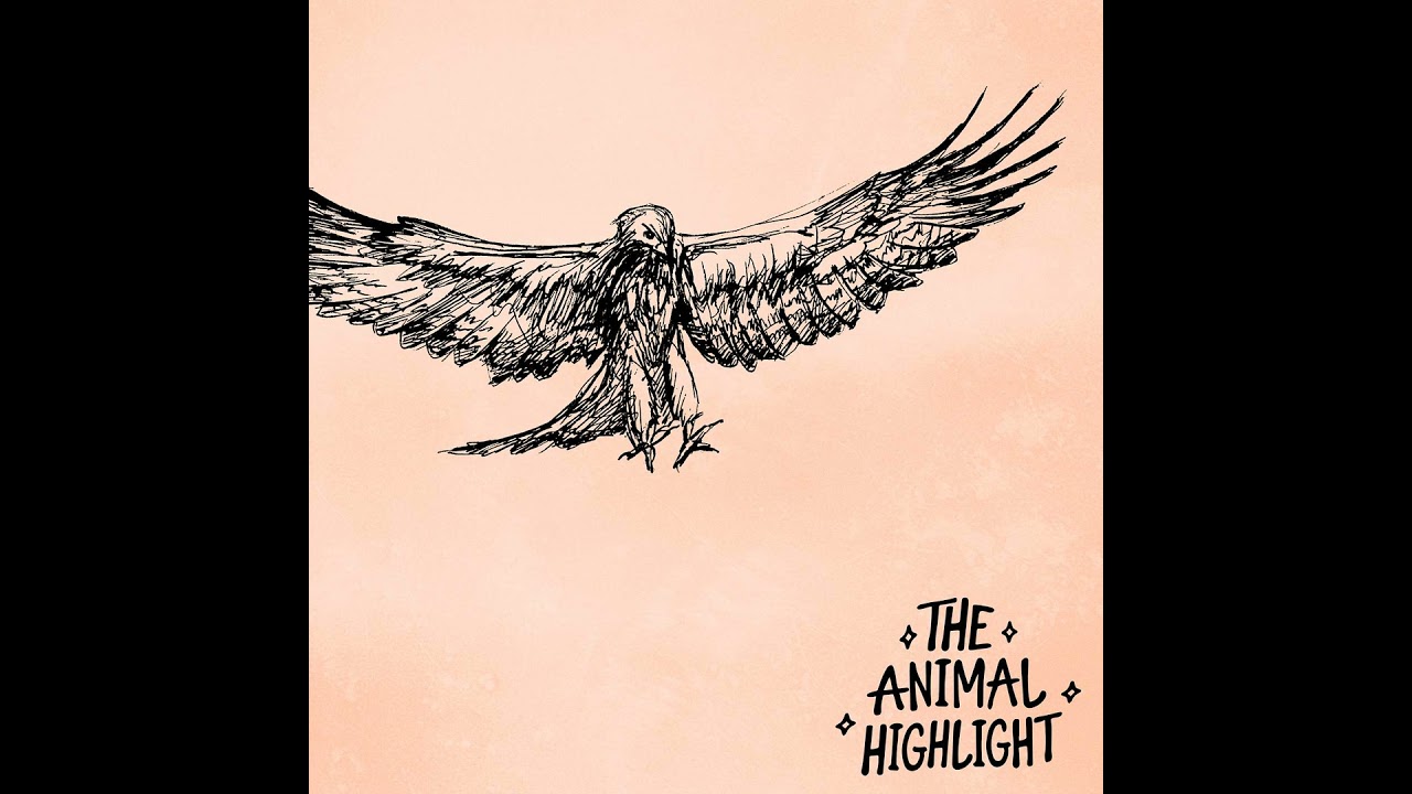 S5E9: Red Kites - Conservation and The Ethical Dilemmas of Wildlife Translocation