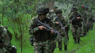 El cañón del Micay, clave en las negociaciones de paz en Colombia