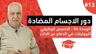 #13 دور الاجسام المضادة
