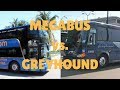 Megabus vs Greyhound | Which Bus Is Better?