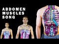Abdominal Muscles Quiz