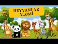 HEYVANLARİ OYRENMEK - HEYVANLAR ALEMİ