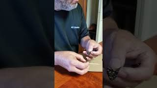Wing Transplant on a Real Butterfly Using Gorilla Glue