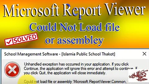 could not load file or assembly | Microsoft Report Viewer SQL Server | Visual Studio Application