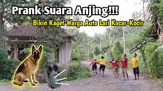 Prank suara Anjing - Bikin Kaget Warga Auto lari Kocar kacir