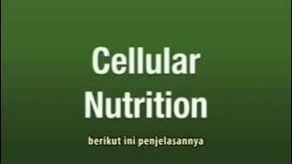 Herbalife Sesimpel 321