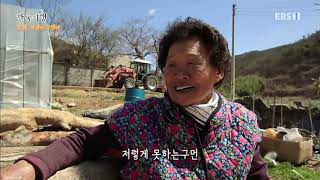 한국기행 - Korea travel_길 끝, 마을이 보인다 4부- 낯 선 시골에서 살아보기_#001