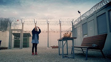 映画『ミッドナイト・トラベラー』予告編 9.11（土）シアター・イメージフォーラム他全国順次公開！